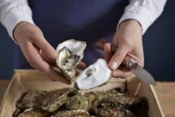 Couteau à Huîtres Opinel N°09 -Cuisine Couteaux Magasin OP001616 07 opinel oestermes op001616 08