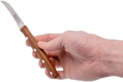 Robert Herder K0 Couteau Bec D'oiseau Prunier & Acier Inoxydable, 9731166504 -Cuisine Couteaux Magasin RH9731166504 06 robert herder rh9731166504 06