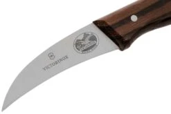 Victorinox Wood 5.3100 Couteau Bec D'oiseau, 6 Cm -Cuisine Couteaux Magasin VT5 3100 03 victorinox