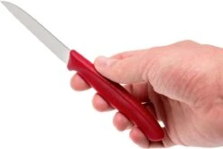 Victorinox SwissClassic Couteaux à Légumes, Ensemble De 3, 6.7116.32 -Cuisine Couteaux Magasin VT6 7116 32 05 victorinox vt6 7116 32 05