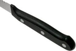 Wüsthof Gourmet Couteau à Tomates 12 Cm, 1025048012 14 Wüsthof Gourmet Couteau à Tomates 12 Cm, 1025048012 -Cuisine Couteaux Magasin WU1025048012 04 wusthof v202101