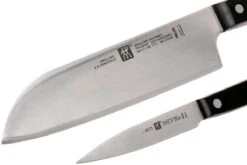 Zwilling Gourmet Set De Couteaux, 2 Pièces, 36130-002 -Cuisine Couteaux Magasin ZW36130 002 0 03 zwilling gourmet zw36130 002 0 03