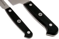 Zwilling Gourmet Set De Couteaux, 2 Pièces, 36130-002 -Cuisine Couteaux Magasin ZW36130 002 0 04 zwilling gourmet zw36130 002 0 04