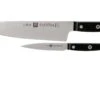 Zwilling Gourmet Set De Couteaux, 2 Pièces, 36130-005 -Cuisine Couteaux Magasin ZW36130 005 0 01 zwilling gourmet zw36130 005 0 01