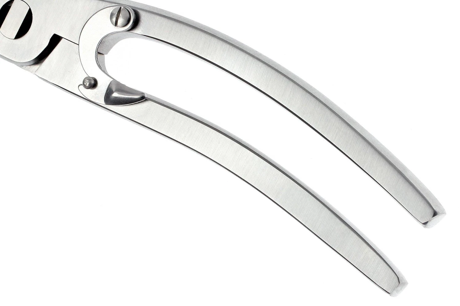 Zwilling J.A. Henckels - Ciseaux à Volaille 24 Cm 6 Zwilling J.A. Henckels - Ciseaux à Volaille 24 Cm – Image 4