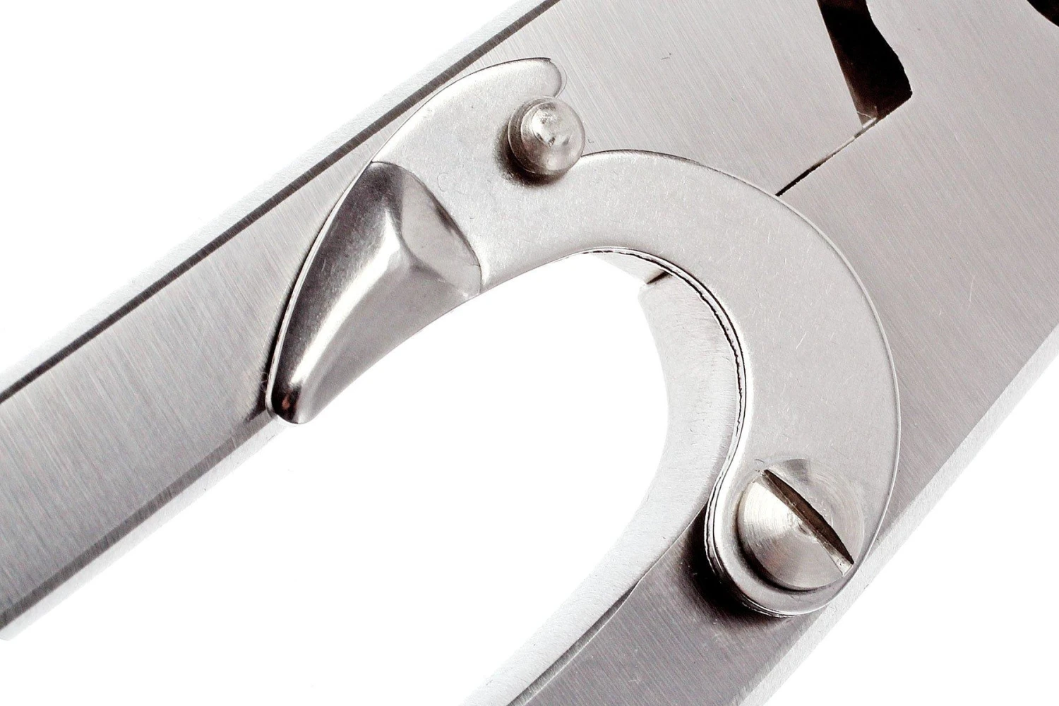 Zwilling J.A. Henckels - Ciseaux à Volaille 24 Cm 8 Zwilling J.A. Henckels - Ciseaux à Volaille 24 Cm – Image 6